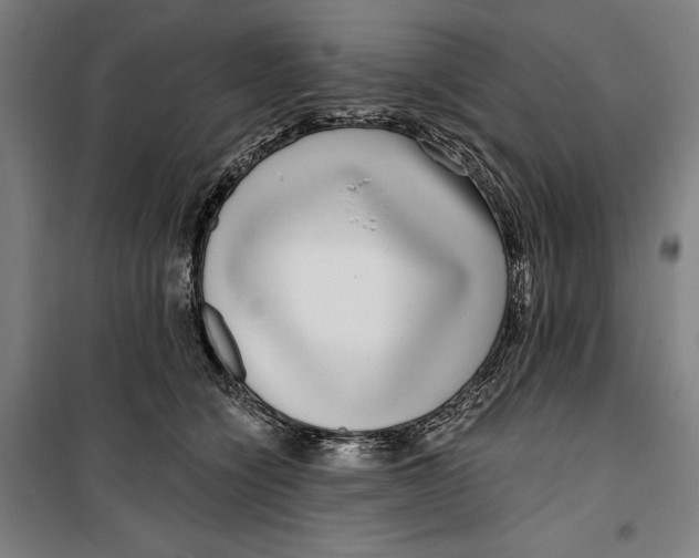 X0000099540564200806061457