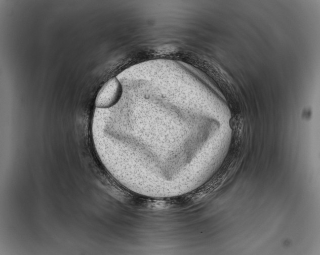 X0000099540565200806061457