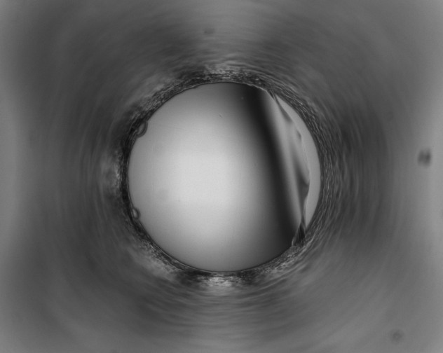 X0000099540566200806061457