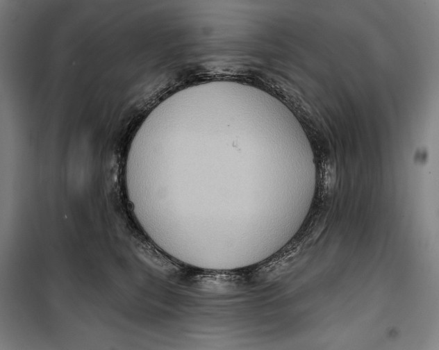 X0000099540567200806061457