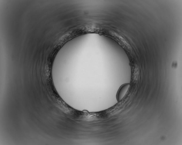 X0000099540569200806061457