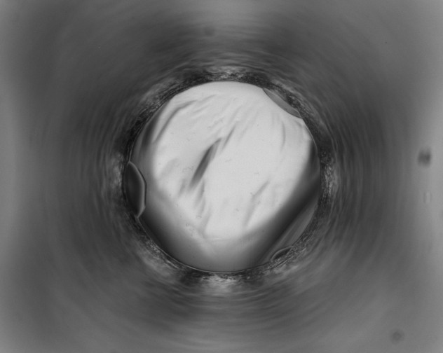 X0000099540570200806061457