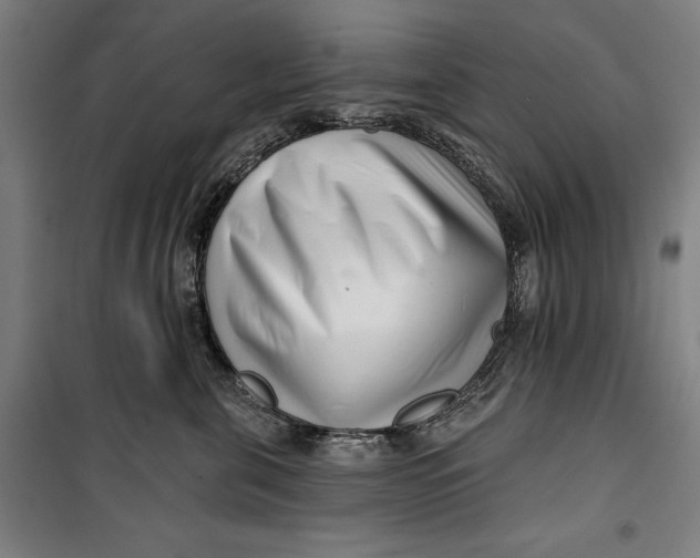 X0000099540571200806061457