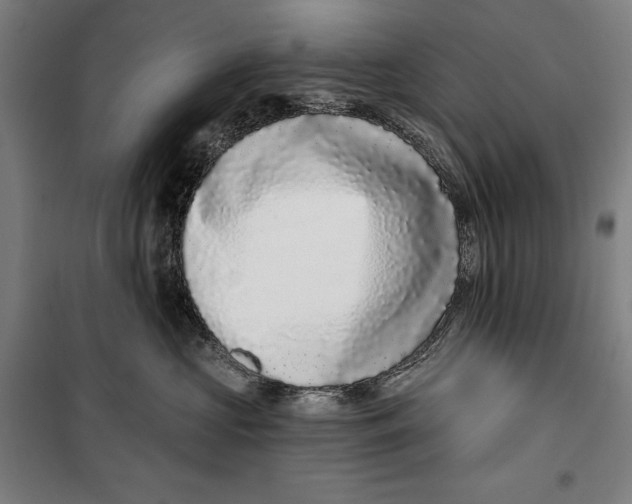 X0000099540573200806061457