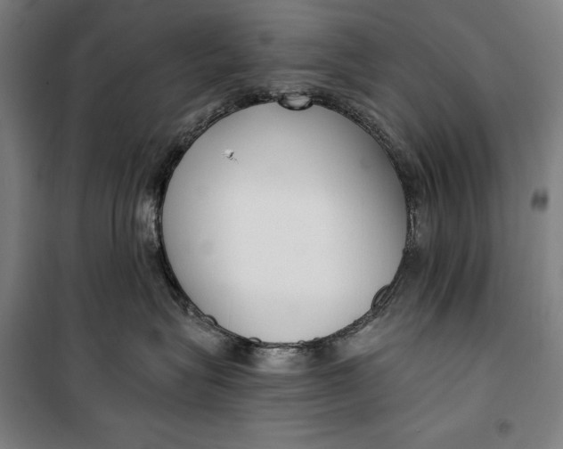 X0000099540575200806061457