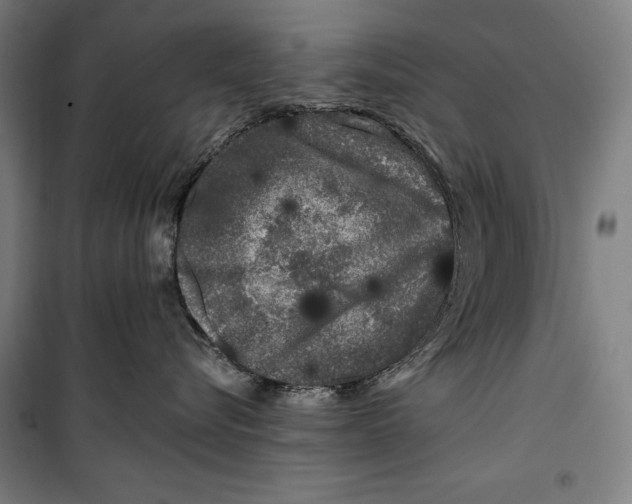 X0000099540576200806061457