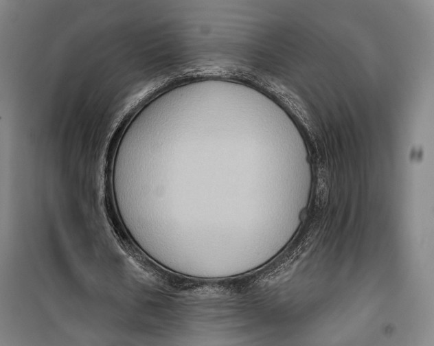 X0000099540578200806061456