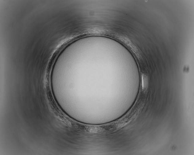 X0000099540579200806061456