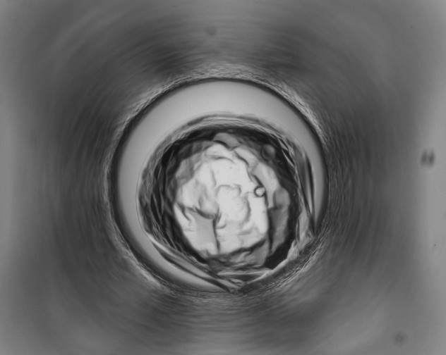 X0000099540581200806061456