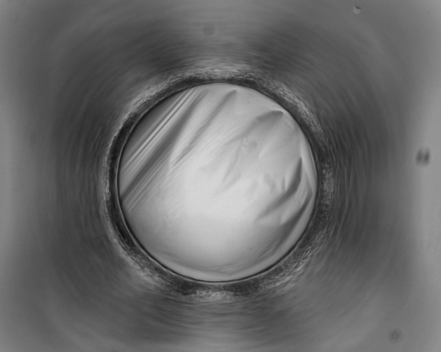 X0000099540582200806061456