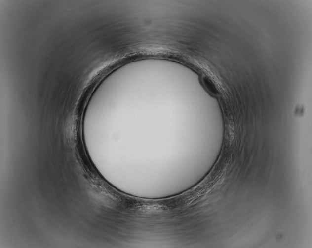 X0000099540583200806061456