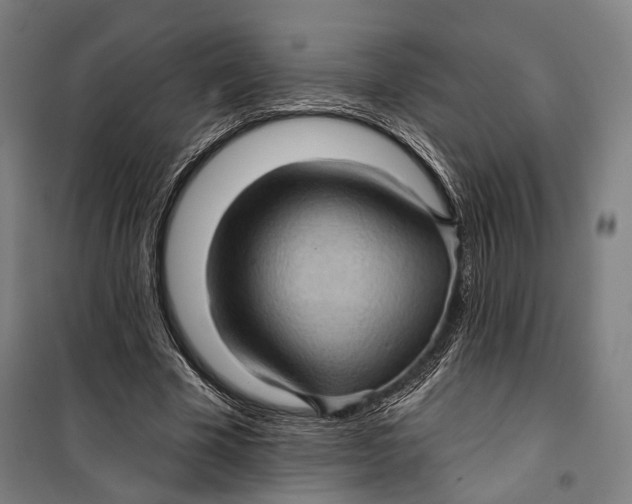 X0000099540585200806061456