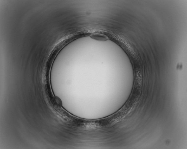 X0000099540587200806061456