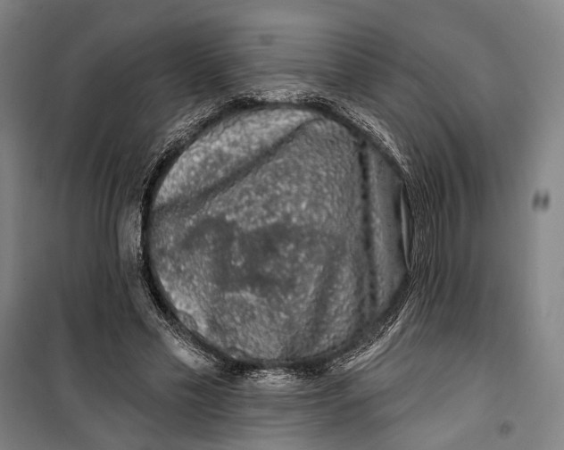 X0000099540589200806061456