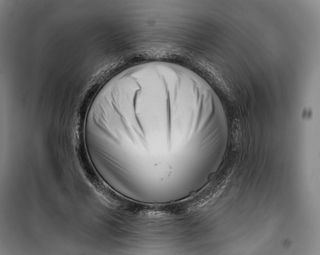 X0000099540590200806061456