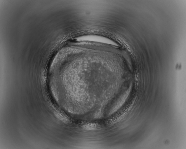 X0000099540593200806061456