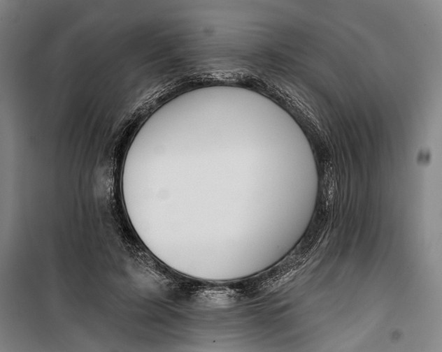 X0000099540595200806061456