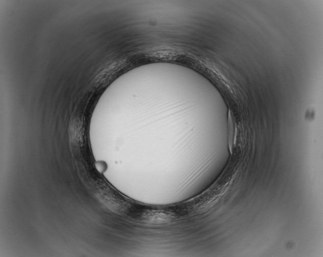 X0000099540597200806061456