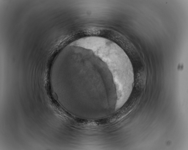 X0000099540600200806061456