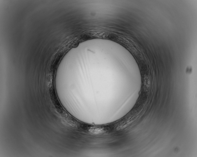 X0000099540602200806061456