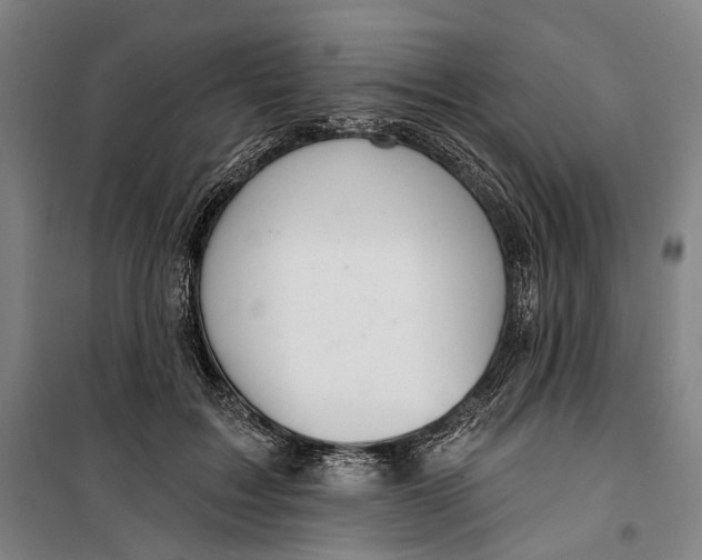 X0000099540603200806061456