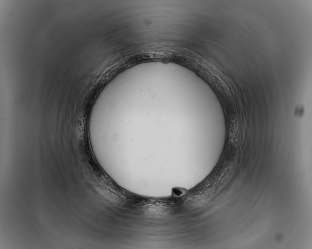 X0000099540604200806061456