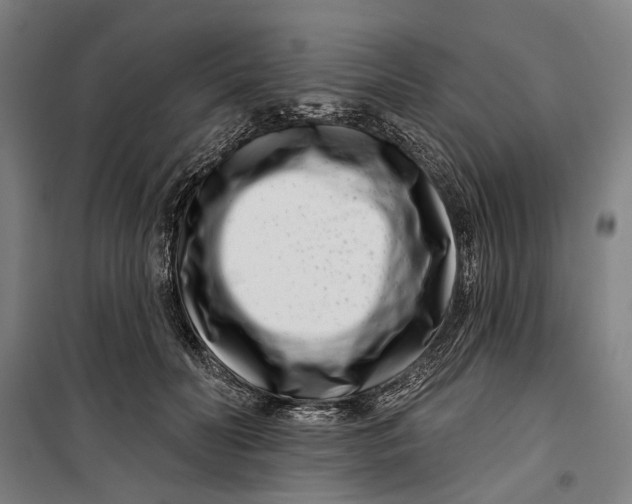 X0000099540606200806061456