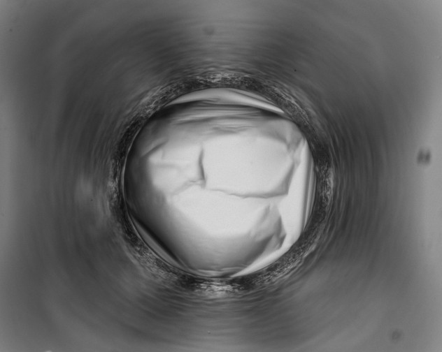 X0000099540607200806061456