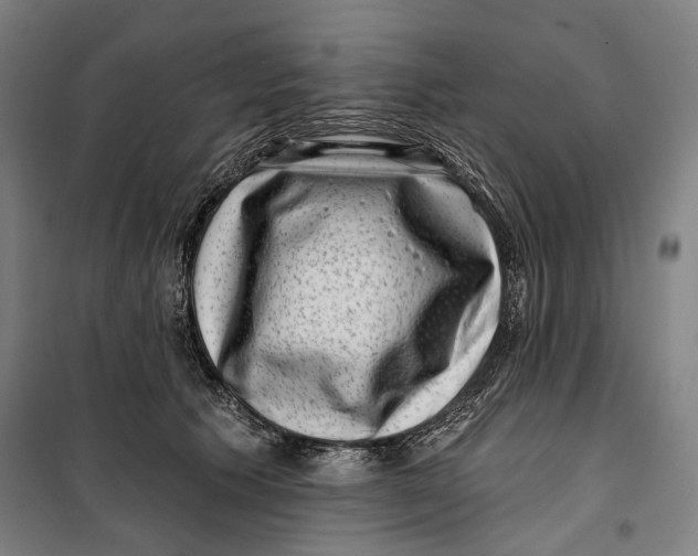 X0000099540609200806061456