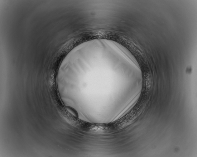 X0000099540611200806061456