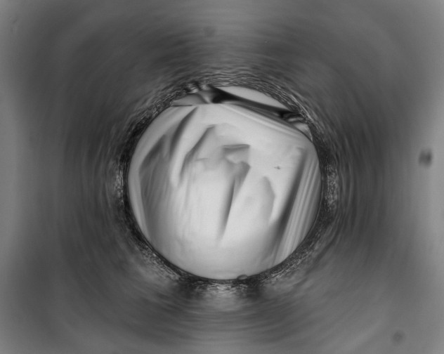 X0000099540613200806061456