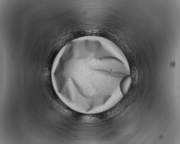 X0000099540614200806061456