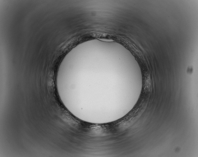 X0000099540616200806061456