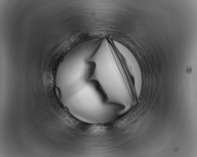 X0000099540617200806061456