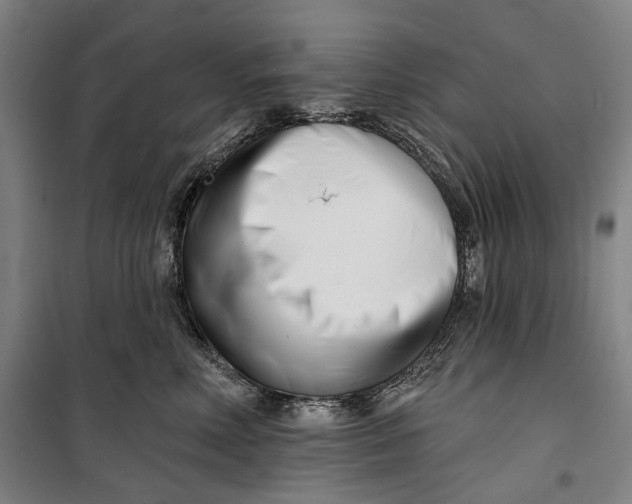 X0000099540618200806061456