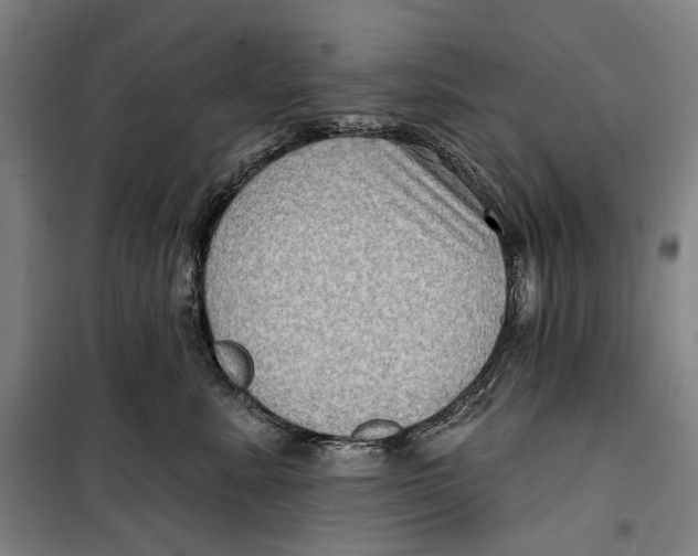 X0000099540619200806061456