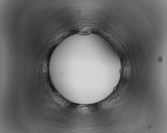 X0000099540620200806061456