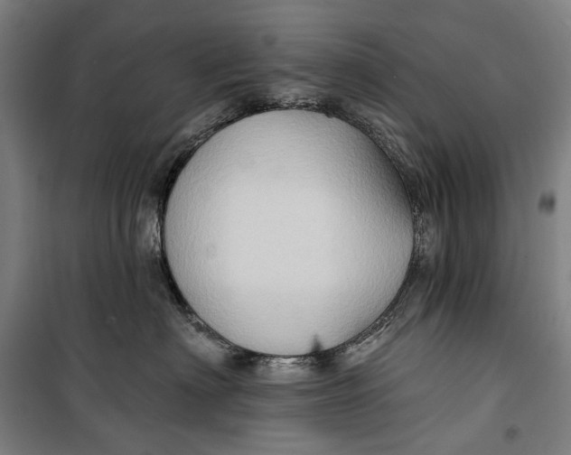 X0000099540622200806061456