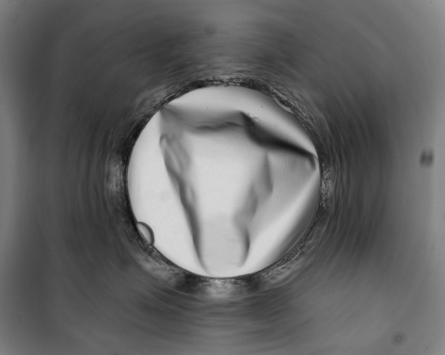 X0000099540623200806061456