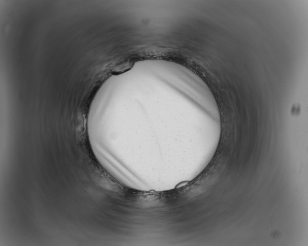 X0000099540624200806061456