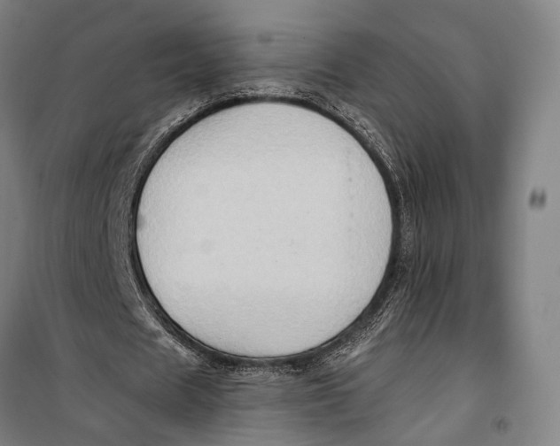 X0000099540625200806061455