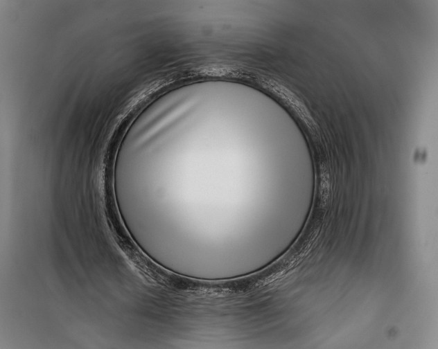 X0000099540626200806061455