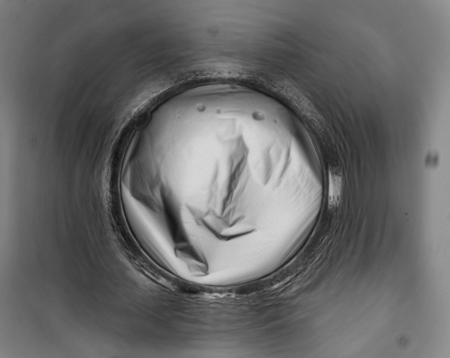 X0000099540627200806061455