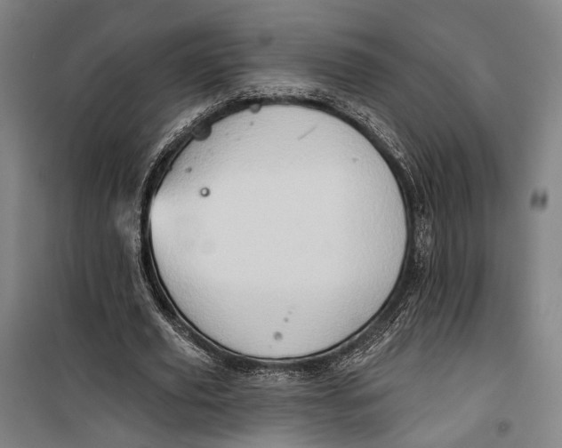 X0000099540629200806061455