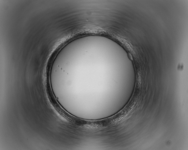 X0000099540630200806061455