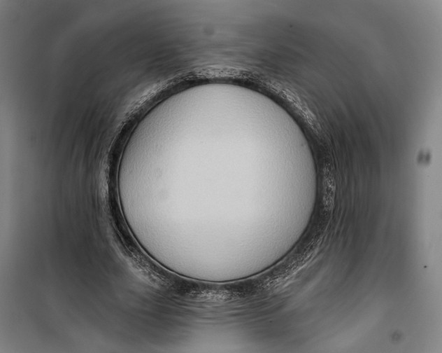 X0000099540631200806061455