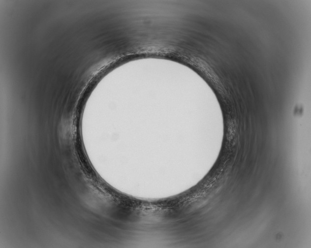 X0000099540632200806061455