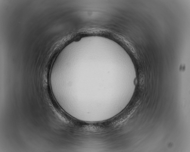 X0000099540633200806061455