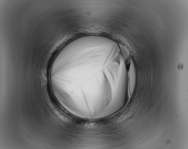 X0000099540634200806061455