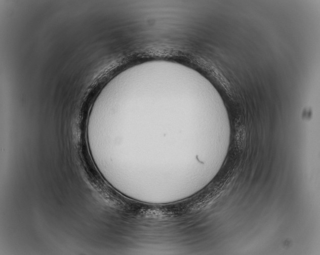 X0000099540635200806061455